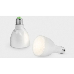 The Lightbulb which acts like a Flashlight